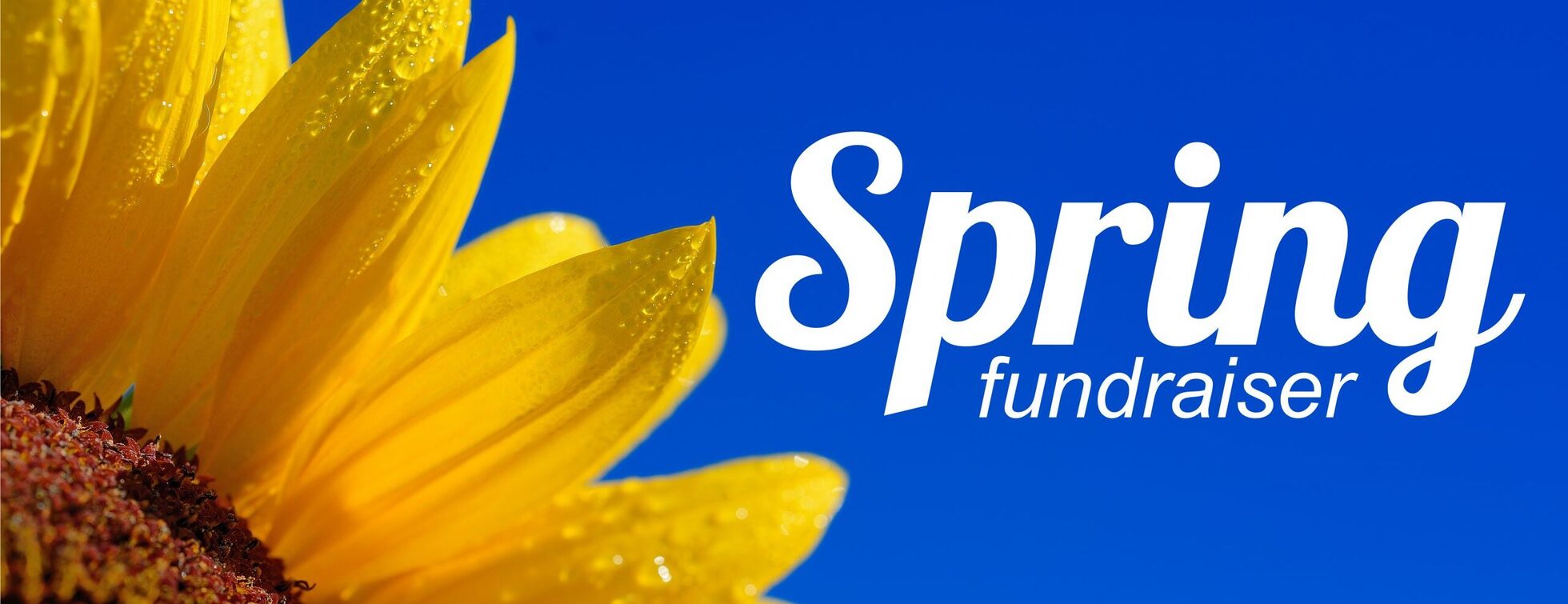 Boys To Men Winter/Spring Fundraiser